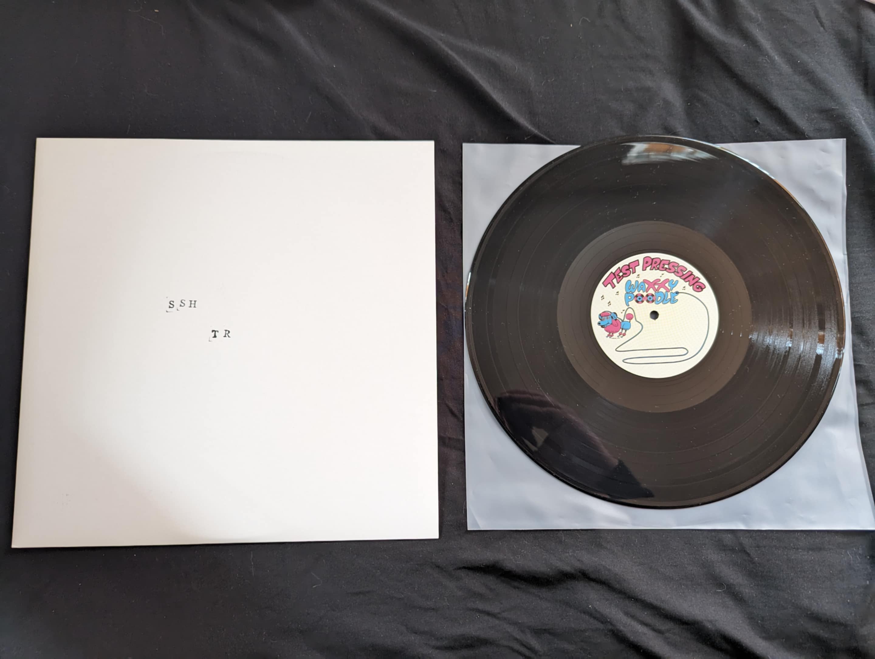 Stupid Stupid Henchmen / Trash Rig - Split 12" [TEST PRESS]