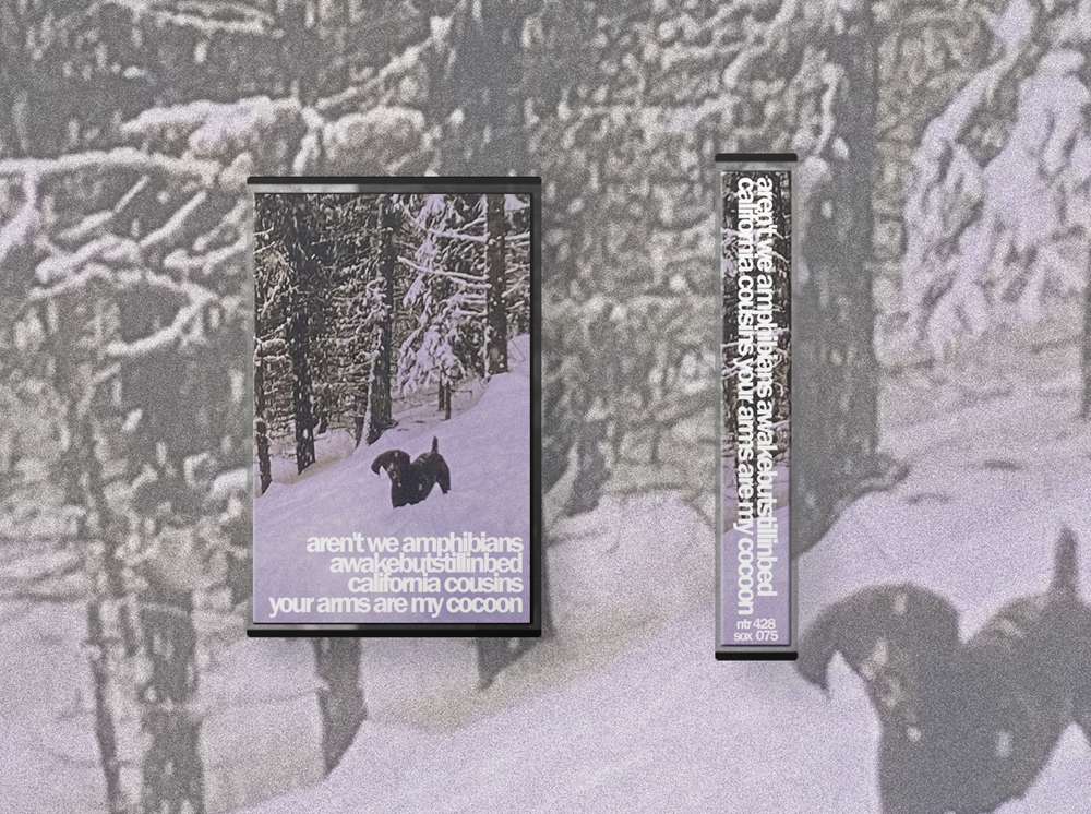 v/a - fourwaysplit Cassette [FROSTED] [PRE-ORDER]